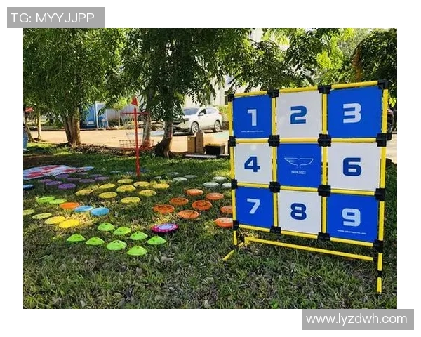 武汉飞盘队意识对比深度解析与战术思考的全面探讨