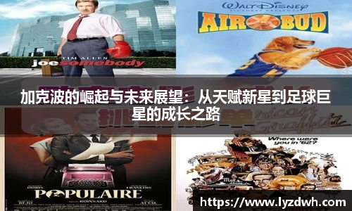 星空·综合体育中国官网