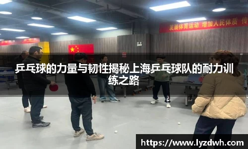 星空·综合体育官方网站