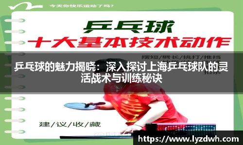 星空·综合体育