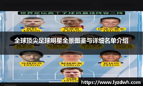 星空·综合体育中国官网