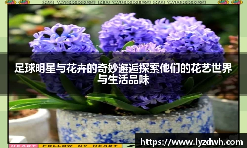 星空·综合体育官网