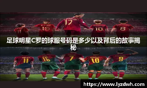 星空·综合体育官方网站