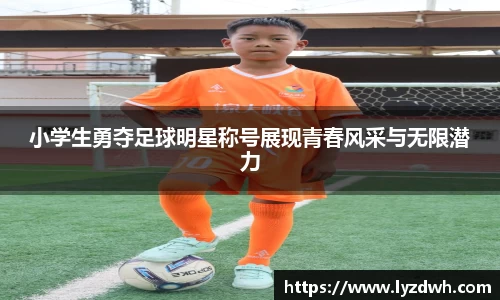 星空·综合体育官方网站